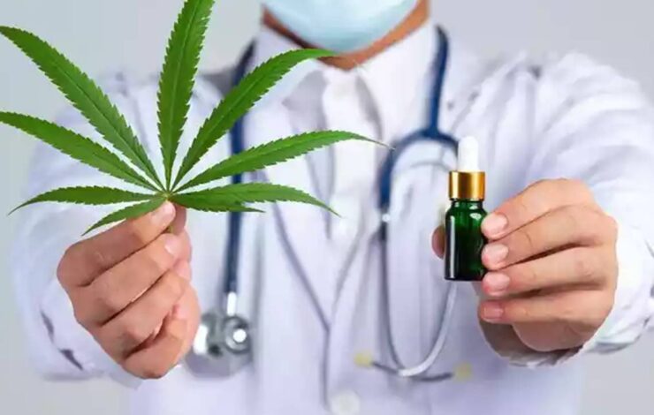 cannabis medicinal