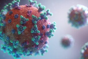 virus_widelg
