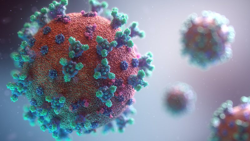 virus_widelg